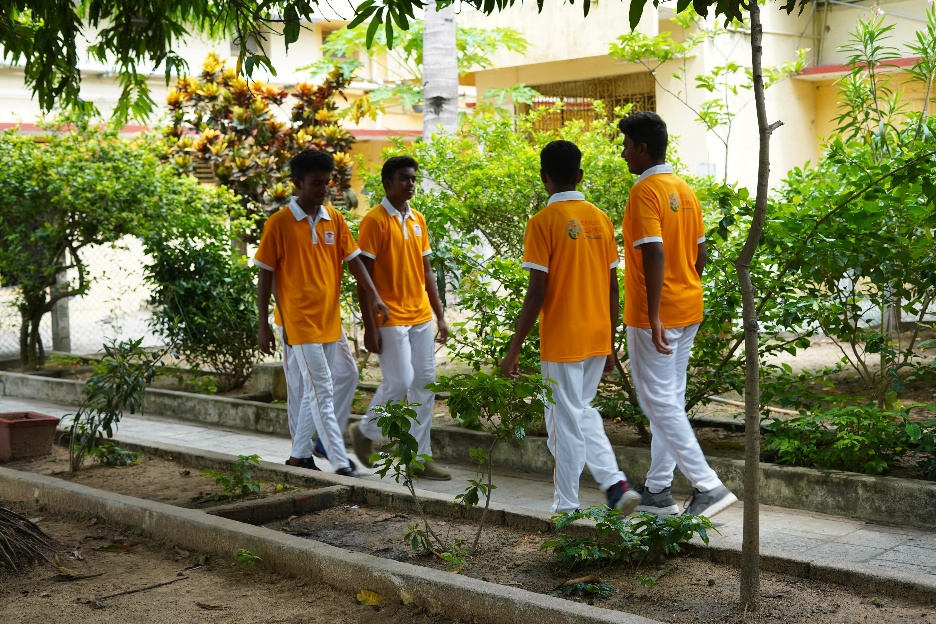 Garden 2